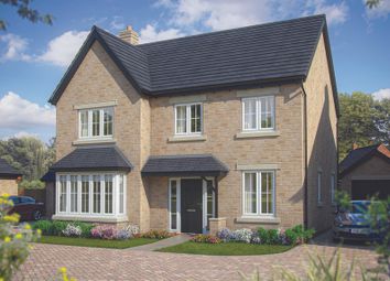 Thumbnail Detached house for sale in "The Maple" at Watermill Way, Collingtree, Northampton