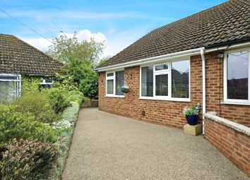 Thumbnail Semi-detached bungalow for sale in The Avenue, Kingsthorpe, Northampton