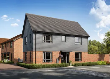 Aynesdale CGI