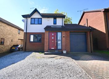 Thumbnail Detached house to rent in Verger Close, Rossington, Doncaster