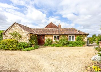 Thumbnail 4 bed bungalow for sale in Yatton Keynell, Wiltshire