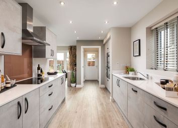 Showhome Photography