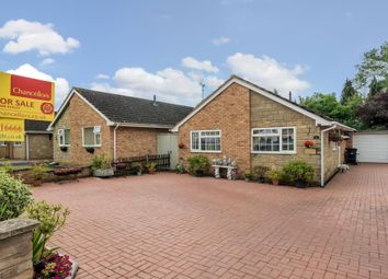 Thumbnail Detached bungalow for sale in Leominster, Herefordshire