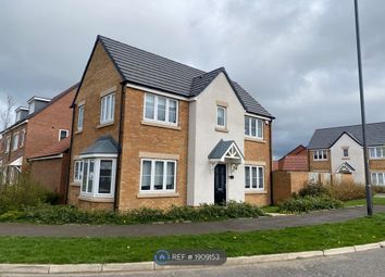 Thumbnail Detached house to rent in Beaumont Way, Consett