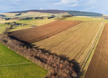 Thumbnail Land for sale in Land At Coldwells Farm, Insch