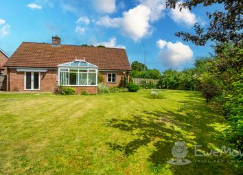 Thumbnail 3 bed detached bungalow for sale in Thetford Road, Watton, Norfolk