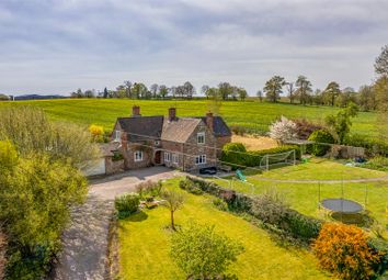 Dji_0932-Edit.Jpg