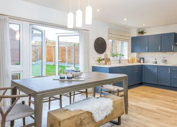 Dandara - Zoopla -