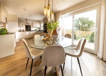 Conte Showhome