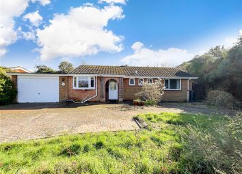 Thumbnail Detached bungalow for sale in Colwell Road, Freshwater, Isle Of Wight