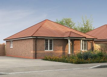 Thumbnail Bungalow for sale in "The Turley" at Hookhams Path, Wollaston, Wellingborough