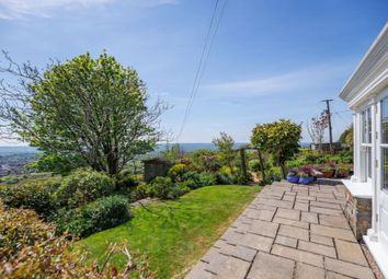 Rear Gardens
