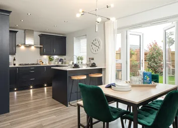 Lamberton 5 Bed Kitchen Area