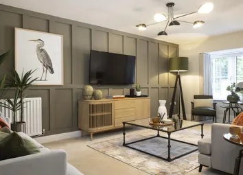 Dandara - Zoopla -