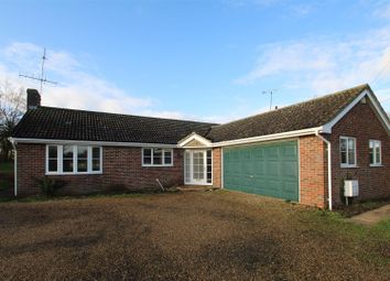 Thumbnail Bungalow to rent in North Street, Steeple Bumpstead, Haverhill
