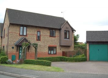 Thumbnail 4 bed detached house to rent in New Forest Way, Ashby Fields, Daventry