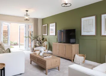 Dandara - Zoopla -