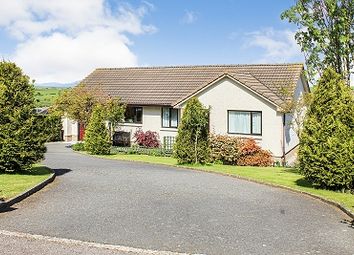 Thumbnail 3 bed detached bungalow for sale in 12 Rosie's Brae, Isle Of Whithorn
