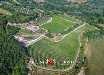 Thumbnail Farm for sale in Trequanda, Tuscany, Italy