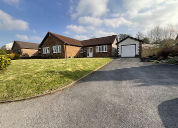Thumbnail 4 bed detached bungalow for sale in Maesquarre Road, Betws, Ammanford