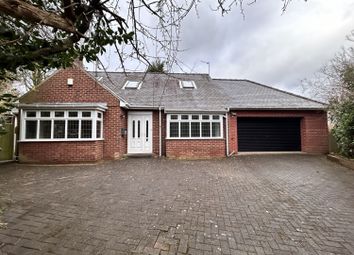 Thumbnail Detached bungalow to rent in Springwell Road, Durham, County Durham