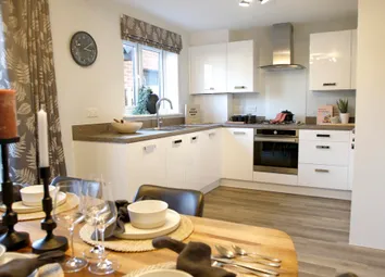 Twm_Bovishomes_180120_1149