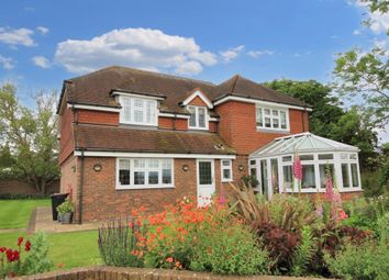 Thumbnail 3 bed detached house to rent in Lower Road, Little Bookham