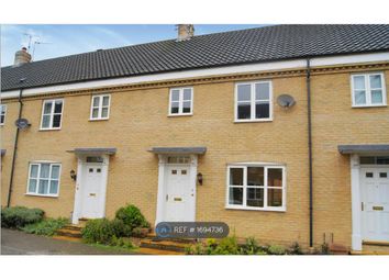 Thumbnail Terraced house to rent in Boughton Way, Bury St Edmunds