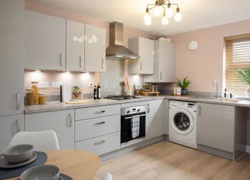 Internal Shot Of The Kitchen In The Alder