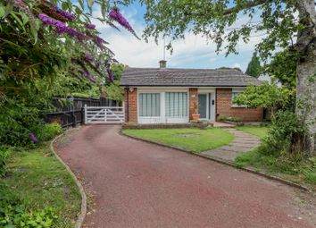 Thumbnail Detached bungalow for sale in Forest Road, Horsham