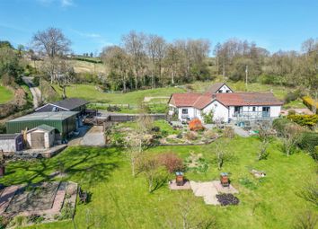 Property listing in Knighton, Powys