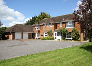 Thumbnail 4 bedroom detached house for sale in Chawton, Hampshire