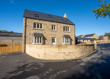 Plot2Finghall1