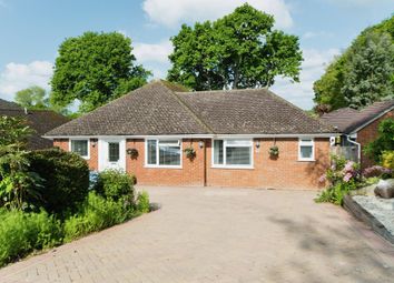 Thumbnail Detached bungalow for sale in Fryatts Way, Bexhill-On-Sea