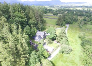 Dji_0011.Jpg