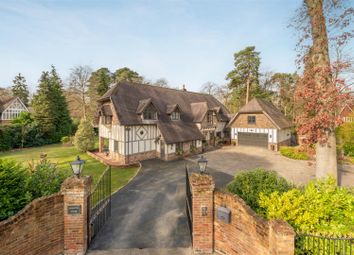 Thumbnail Detached house for sale in Larch Avenue, Sunninghill, Ascot