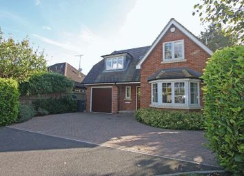 Thumbnail Detached house to rent in Delta Close, Chobham, Woking