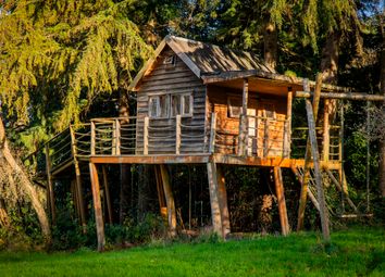 Tree House