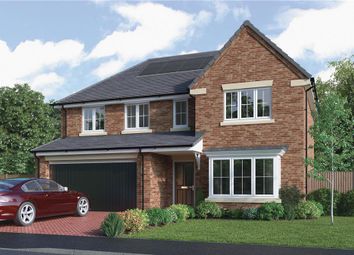 Thumbnail Detached house for sale in "The Beechford" at Choppington Road, Bedlington