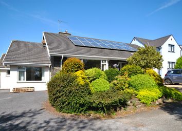 Outside 1.Jpg