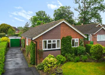 Thumbnail Bungalow for sale in Rectory Close, Ewhurst