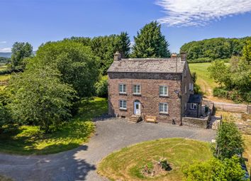 Dji_0651-2.Jpg