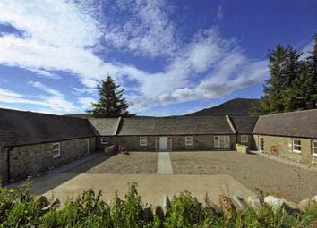 Thumbnail 2 bed bungalow to rent in Red Grouse Cottage, Glenrinnes, Scotland