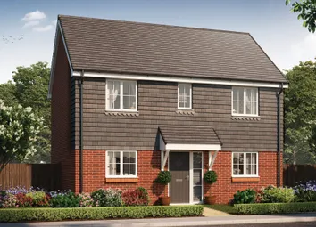 The Tenterer