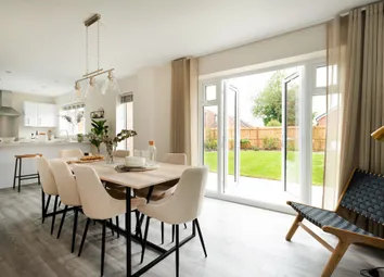 Showhome Photography