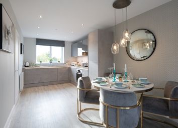 A Modern Easy To Clean Kitchen Area