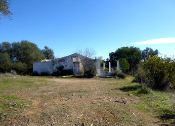 Thumbnail 1 bed country house for sale in Guadiana, Beja, Alentejo, Portugal, Portugal