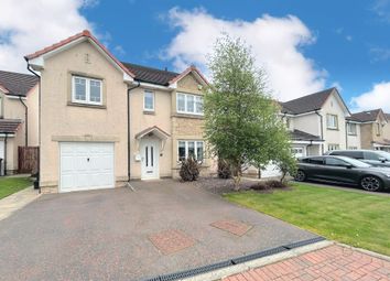 Thumbnail Detached house for sale in Ancaster Place, Falkirk