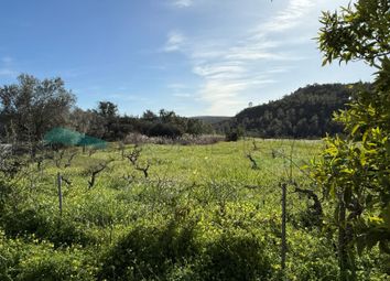 Thumbnail Land for sale in Rua Dos Arneiros, Querença, Tôr E Benafim, Loulé