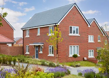 Showhome Photography